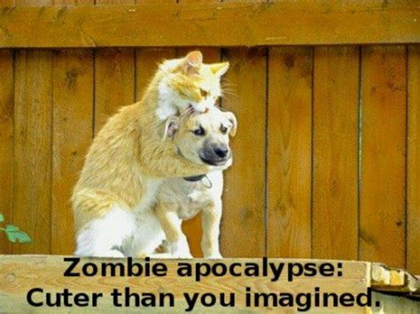  Yet Another Zombie Apocalypse: But This Time With Cats!